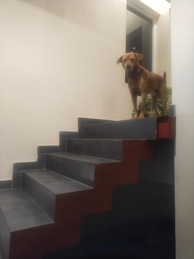 Two Bedroom House Madikeri Buitenkant foto